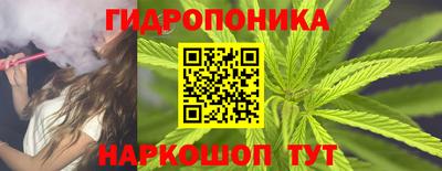 ГАЛЛЮЦИНОГЕННЫЕ ГРИБЫ Шахты