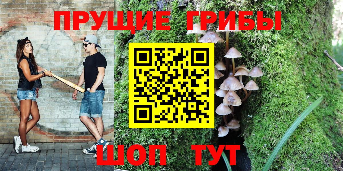 Псилоцибиновые грибы MAGIC MUSHROOMS  Вход с VPN  Избербаш 