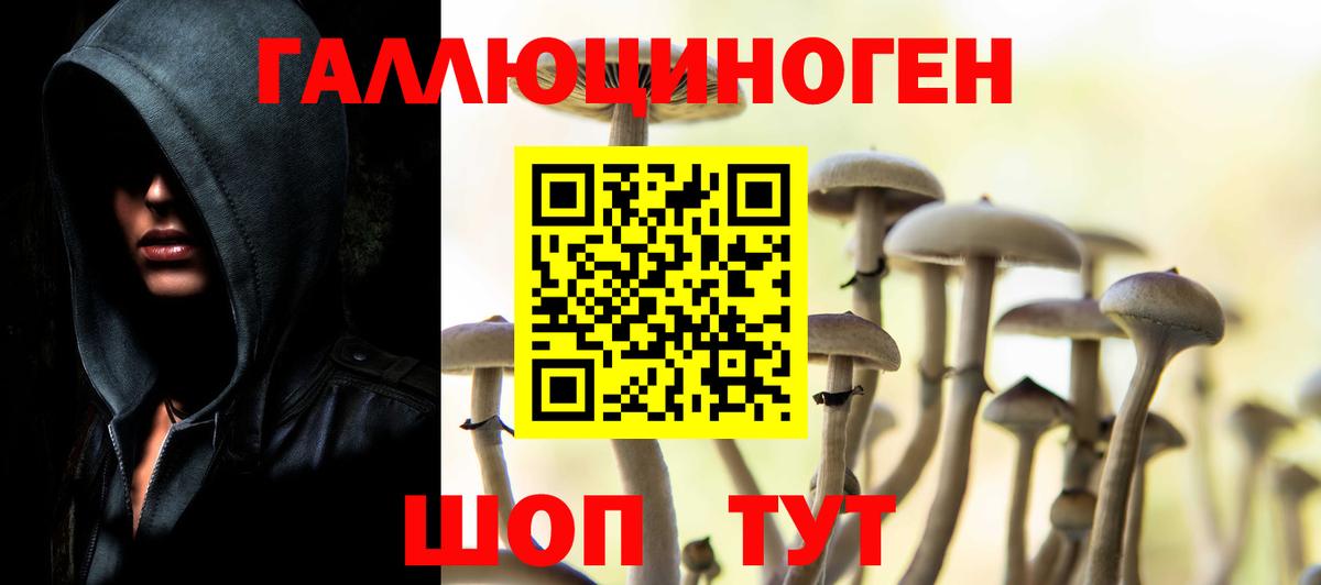 Галлюциногенные грибы Magic Shrooms Избербаш